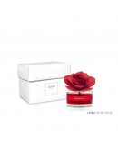 Muha' Perfume Rosa Petali di Rosa 50ml