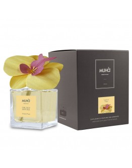 Muha Orchid Diffuser Grapes and Fig 100ml